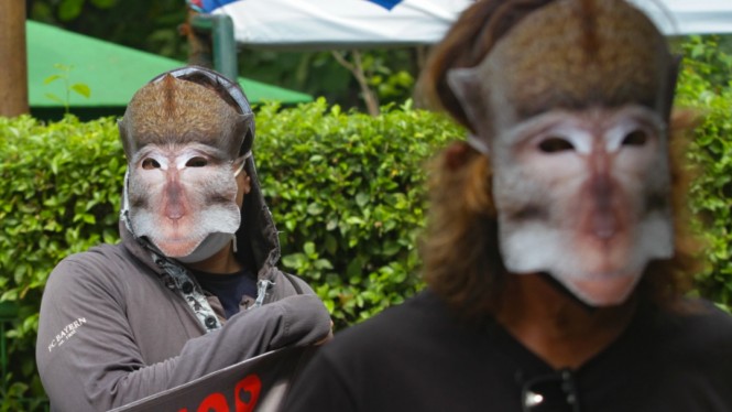 Aksi Tolak Perdagangan Monyet di Indonesia