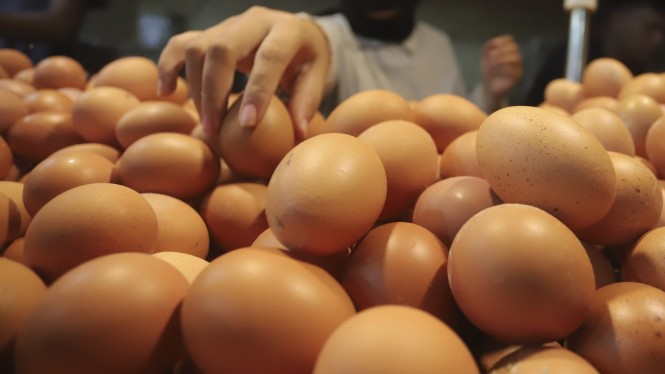 Harga Telur Meroket Tinggi