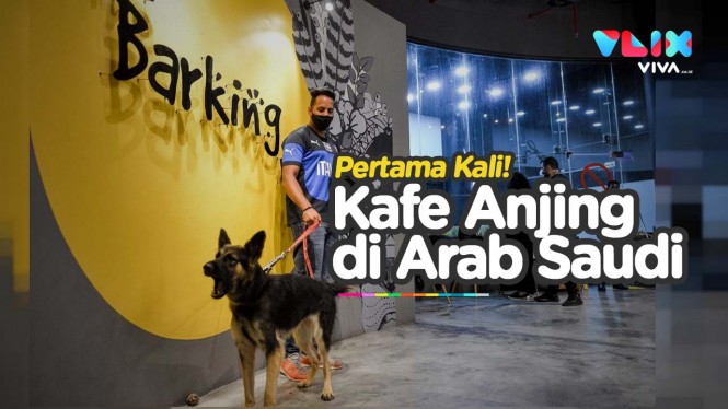 Pertama Kalinya, Arab Saudi Kini Punya Kafe Anjing