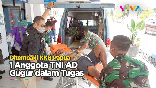 1 Anggota TNI AD Gugur Ditembak Kelompok Bersenjata Papua